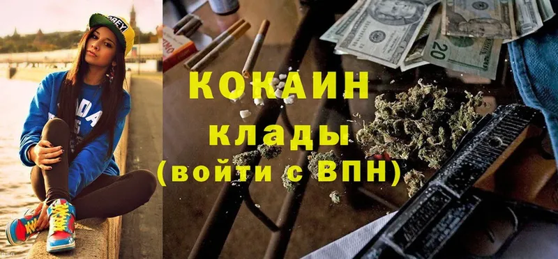 где купить   Ленинск  COCAIN Fish Scale 