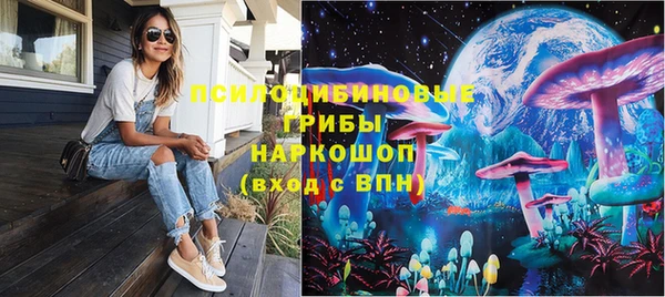 a pvp Краснослободск