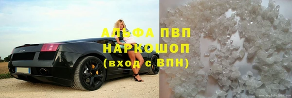 прущие грибы Кукмор