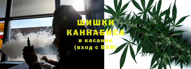 купить закладку  Ленинск  Бошки марихуана план 